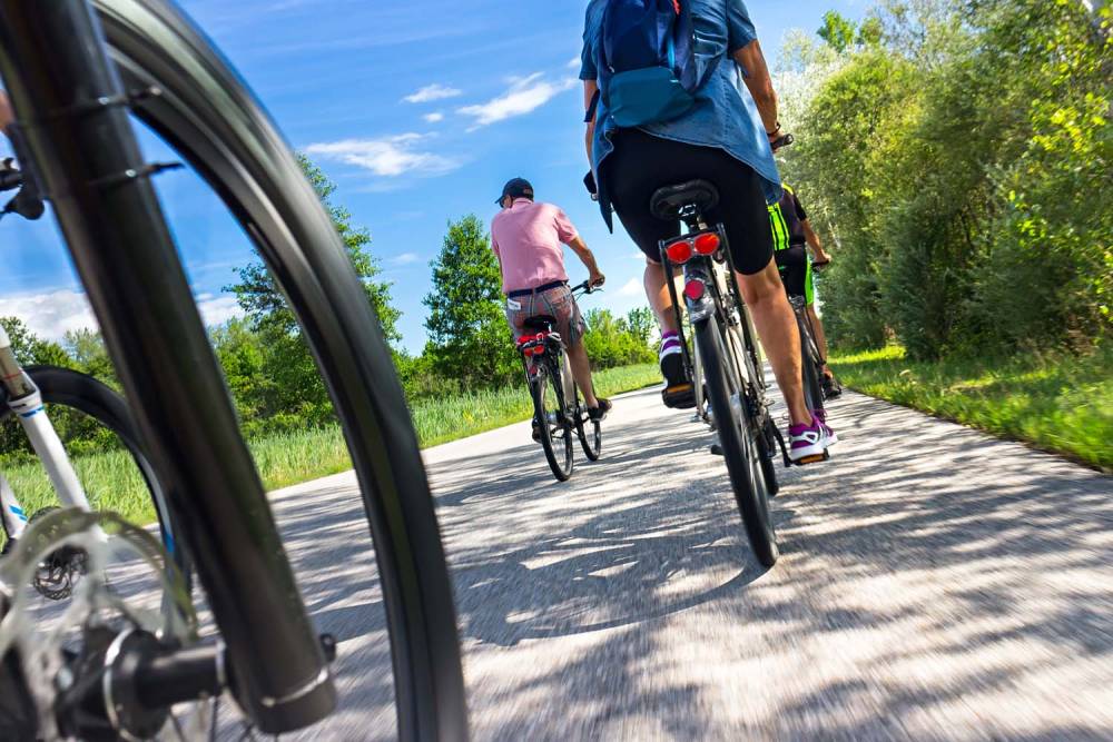 Vente de vélos près de Eguilles
